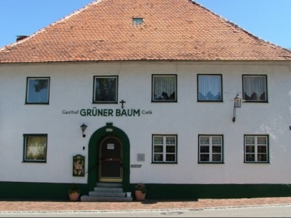 照片: Grüner Baum